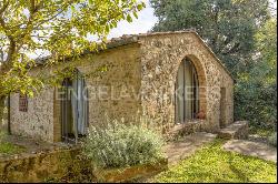 Beautiful Podere with a view of San Gimignano