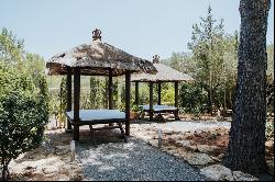 Country style house for rent for vacations, weddings and yoga retreats.