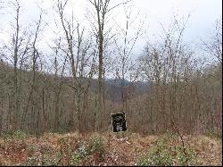 Lot 92 Alarka Highlands, Bryson City NC 28713