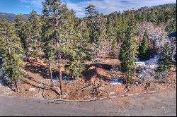 859 Pine Meadow Court, Big Bear Lake, CA 92315