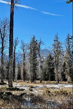 Phelps Canyon Road