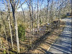 Beautiful Lot in Established Smyrna Neighborhood