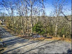 Beautiful Lot in Established Smyrna Neighborhood