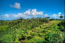 Halaulani Place, Kilauea, HI 96754