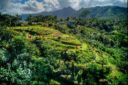 Halaulani Place, Kilauea, HI 96754