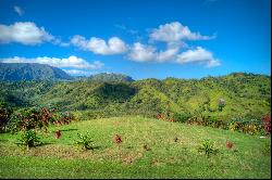 Halaulani Place, Kilauea, HI 96754