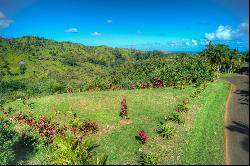 Halaulani Place, Kilauea, HI 96754