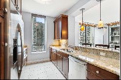 Great Condo on Lake Shore Dr 