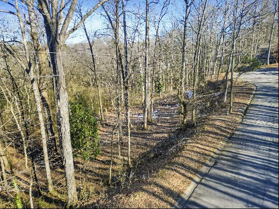 Beautiful Lot in Established Smyrna Neighborhood!