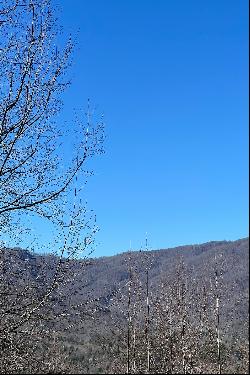 LAKE LURE