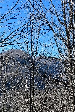 LAKE LURE