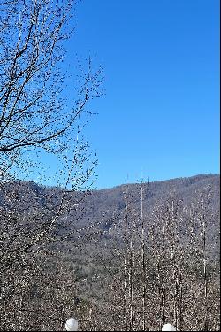 LAKE LURE