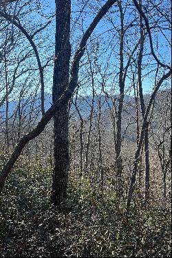 LAKE LURE