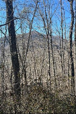 LAKE LURE