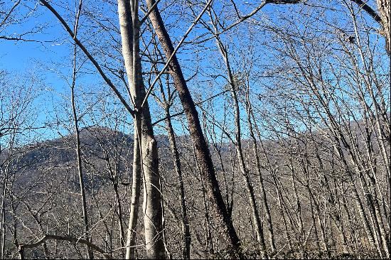 LAKE LURE