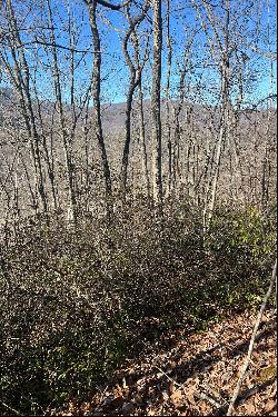 LAKE LURE