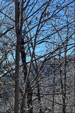 LAKE LURE