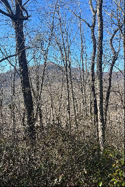 LAKE LURE