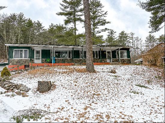 24 Alpine Lane # 2, Roundtop, NY 12473