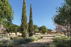 Prime Plot with Panoramic Views and Villa Project For Sale In Ibiza