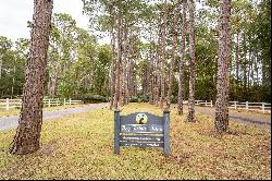 3 Stripland Way, Saint Helena Island, SC  29920