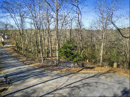 Beautiful Lot in Established Smyrna Neighborhood!