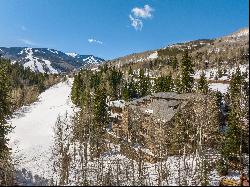 Largest Private Home in Vail and Beaver Creek