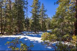 Highly developable .68 acre lot in Tahoe City