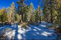 Highly developable .68 acre lot in Tahoe City