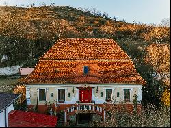 A Corner of History and Poetry – The Karg Haller János Manor in Dârlos