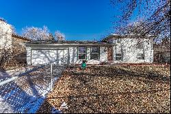 1319 Wooten Road,Colorado Springs, CO, 80915