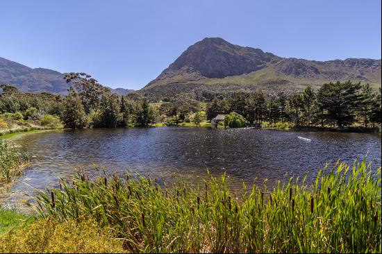 Bringing together homes, nature and human beings in beautiful Franschhoek