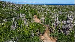 Land in Bonaire