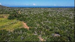 Land in Bonaire