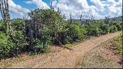 Land in Bonaire