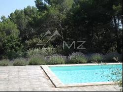 Wide bright view - Villa in Puget, 10 km from Lourmarin