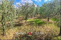 SMALL WINE ESTATE FOR SALE IN MONTEPULCIANO, TUSCANY