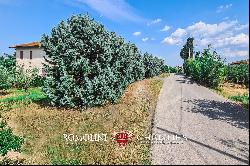 SMALL WINE ESTATE FOR SALE IN MONTEPULCIANO, TUSCANY