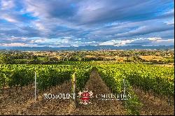 SMALL WINE ESTATE FOR SALE IN MONTEPULCIANO, TUSCANY