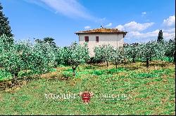 SMALL WINE ESTATE FOR SALE IN MONTEPULCIANO, TUSCANY