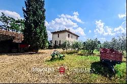 SMALL WINE ESTATE FOR SALE IN MONTEPULCIANO, TUSCANY