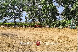 SMALL WINE ESTATE FOR SALE IN MONTEPULCIANO, TUSCANY