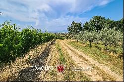 SMALL WINE ESTATE FOR SALE IN MONTEPULCIANO, TUSCANY