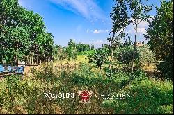 SMALL WINE ESTATE FOR SALE IN MONTEPULCIANO, TUSCANY