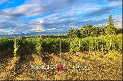 SMALL WINE ESTATE FOR SALE IN MONTEPULCIANO, TUSCANY