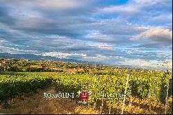 SMALL WINE ESTATE FOR SALE IN MONTEPULCIANO, TUSCANY