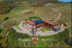 ORGANIC CUTTING-EDGE WINERY FOR SALE IN LANGHE, PIEDMONT