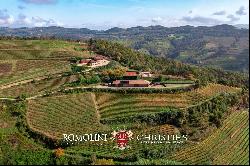 ORGANIC CUTTING-EDGE WINERY FOR SALE IN LANGHE, PIEDMONT