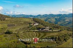 ORGANIC CUTTING-EDGE WINERY FOR SALE IN LANGHE, PIEDMONT