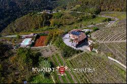 ORGANIC CUTTING-EDGE WINERY FOR SALE IN LANGHE, PIEDMONT